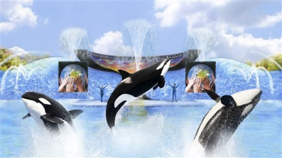 This computer generated image courtesy of SeaWorld shows an artist rendition of the new SeaWorld show "One Ocean." 
